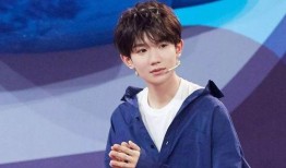 记者爆料王源是真的吗视频,王源真实情况揭秘，视频证据曝光